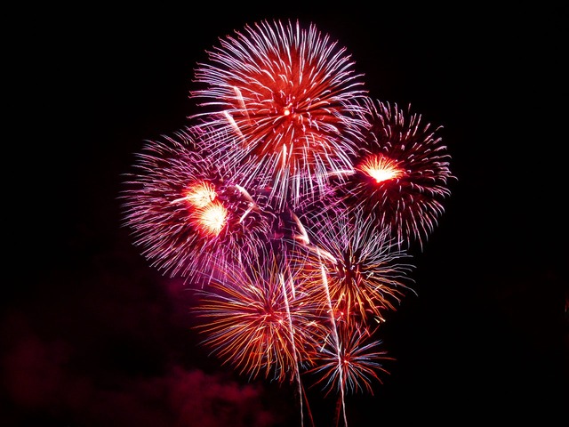 Fourth Of July Metro Detroit Firework Displays 2015