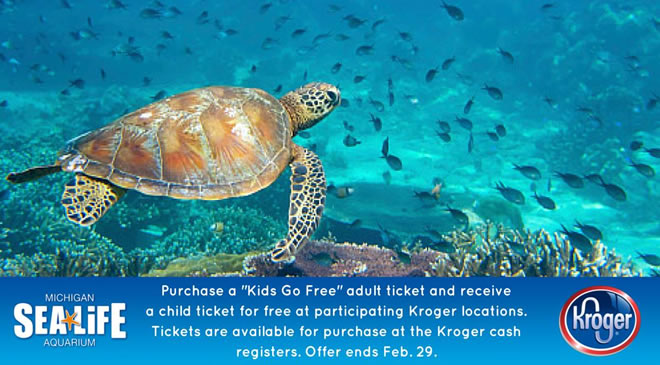 Free Tickets SEA LIFE Michigan Aquarium FunInTheD Fun In Detroit Micihigan