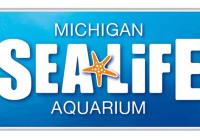 Visit SEA LIFE Michigan Aquarium at Great Lakes Crossing