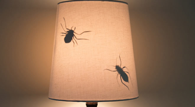 April Fools' Day Lamp Shade Creepy Bugs Insects FunInTheD Fun In The D