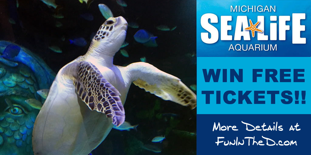 Win Free Tickets To Visit SEA LIFE Michigan Aquarium FunInTheD Fun In Detroit Michigan