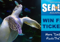 Giveaway: SEA LIFE Michigan Aquarium Ends 7/25