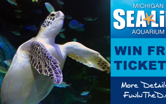 Win Free Tickets To Visit SEA LIFE Michigan Aquarium FunInTheD Fun In Detroit Michigan