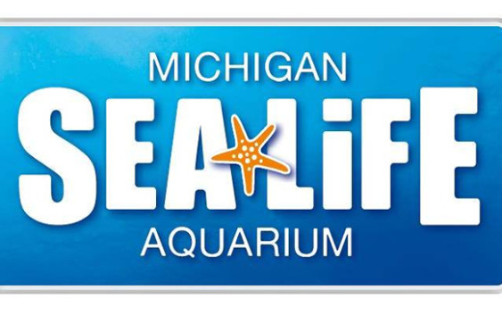 Visit SEA LIFE Michigan Aquarium FunInTheD Fun In Detroit Micihigan